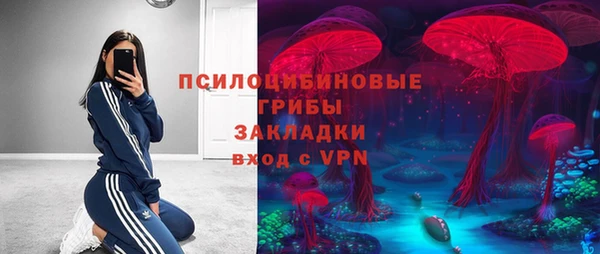 МДПВ Верея
