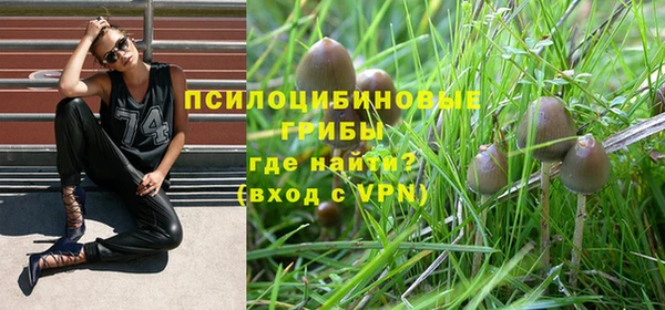 МДПВ Верея