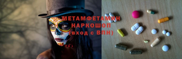 индика Володарск
