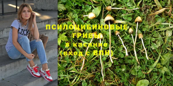 МДПВ Верея
