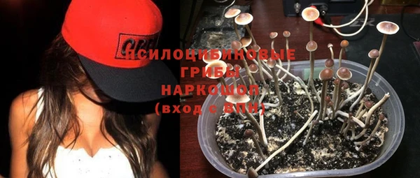 МДПВ Верея